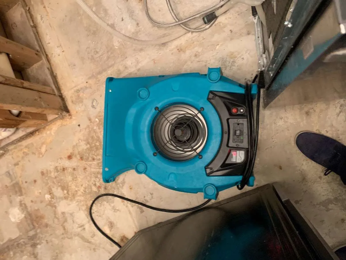 Air mover drying equipment for Mold Remediation & Removal in Villa Rica